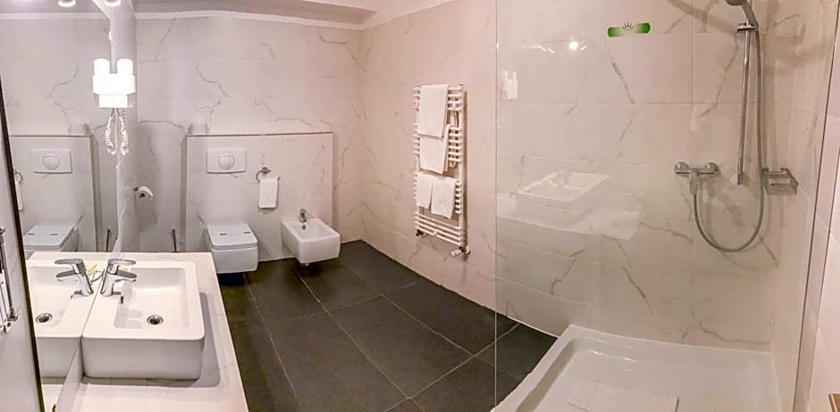 Hotel Satu Mare City