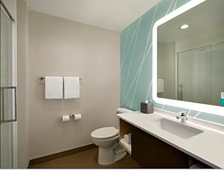 1 King Bed Standard Mobil Accessible Tub