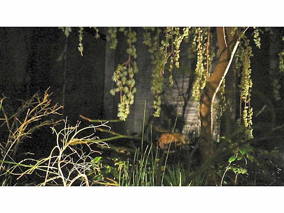 nol kyoto sanjo - Vacation STAY 97692v