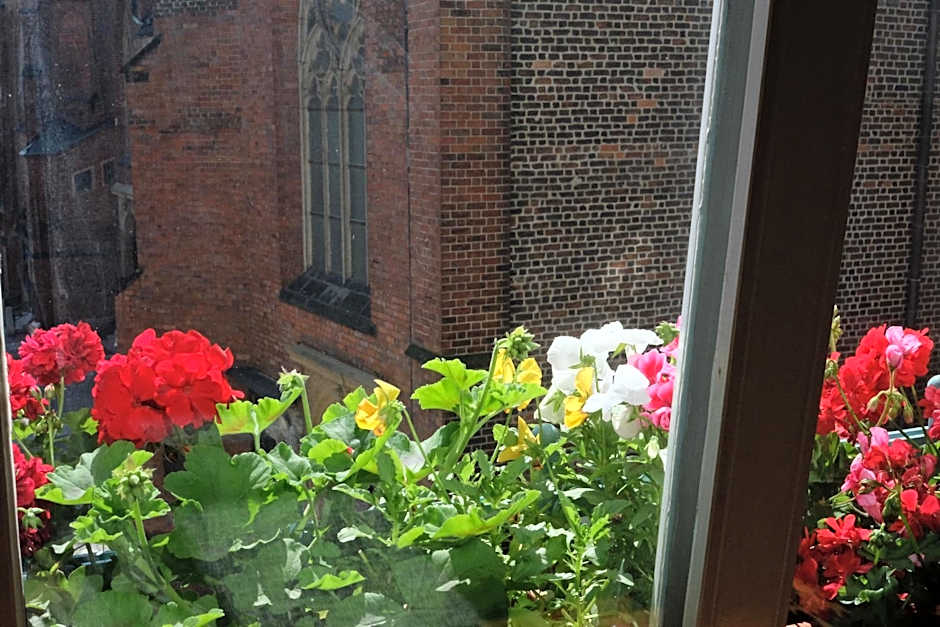 Academus Pub & Guest House