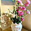 Araba Fenice Hotel