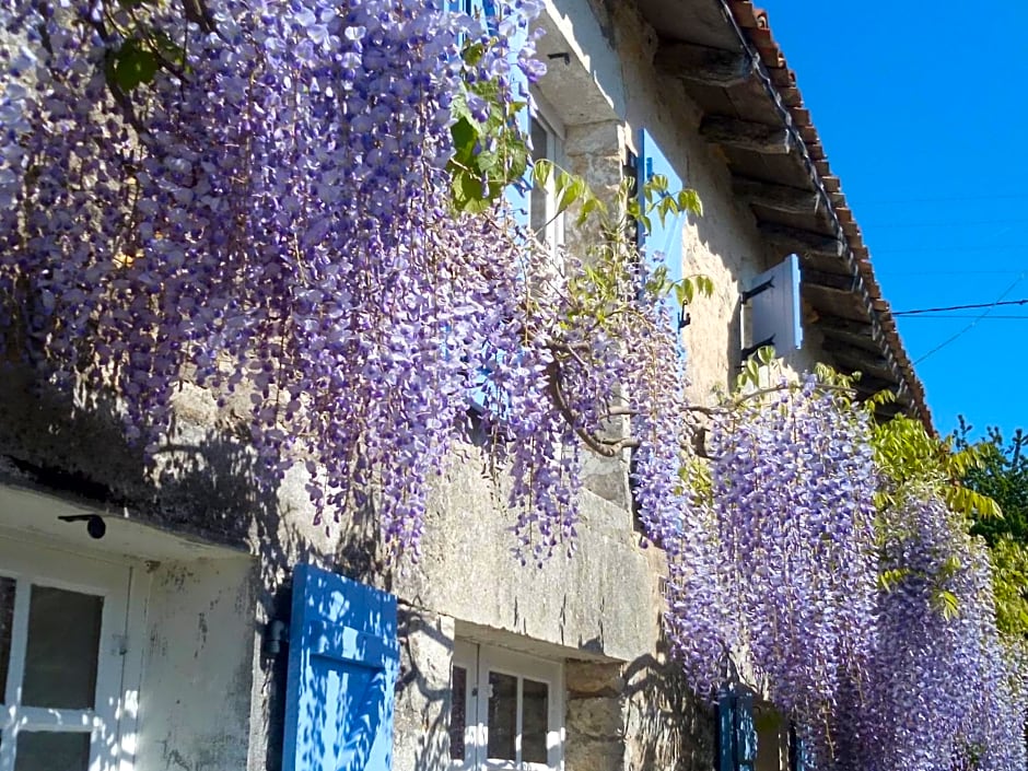 Chat Noir Gite et Chambre D'Hotes