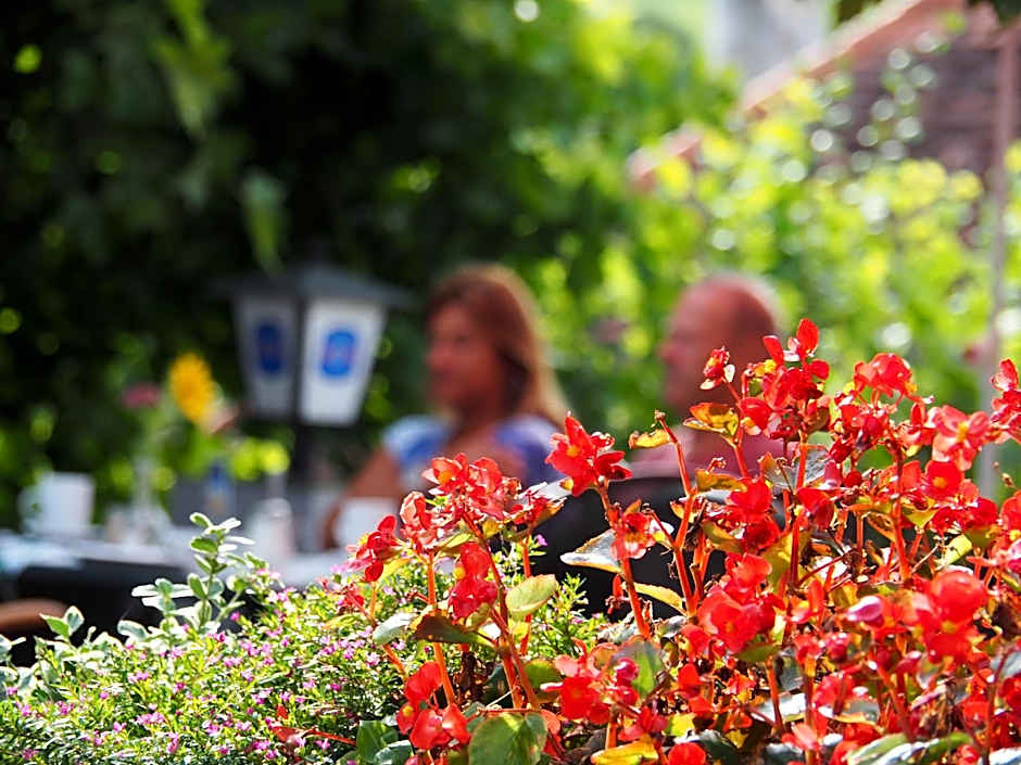 Breitenfelderhof zur Riegersburg