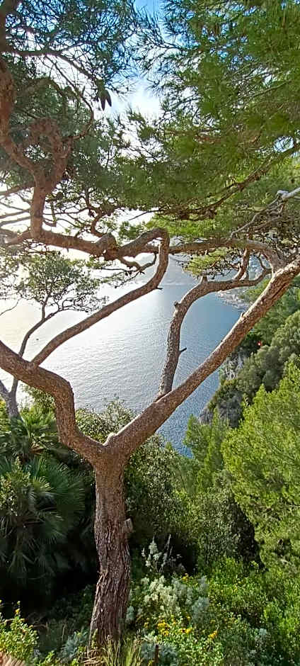 MAISON SAINT MICHAEL