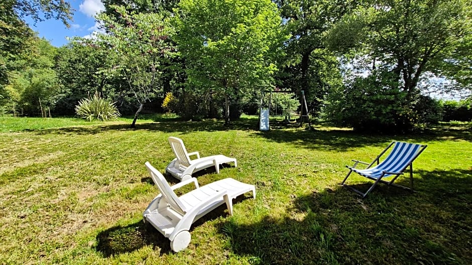 Le pied du chêne