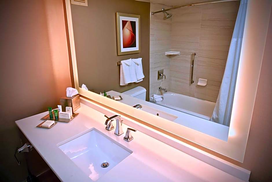 Hilton Atlanta Northeast