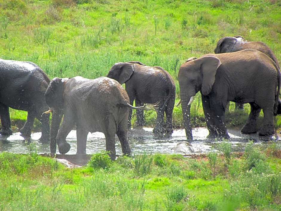 Hopewell Private Game Reserve