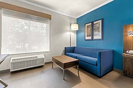 Standard King Room with Sofa Bed