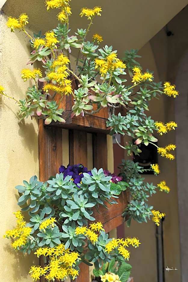 B&B Vicenza San Rocco