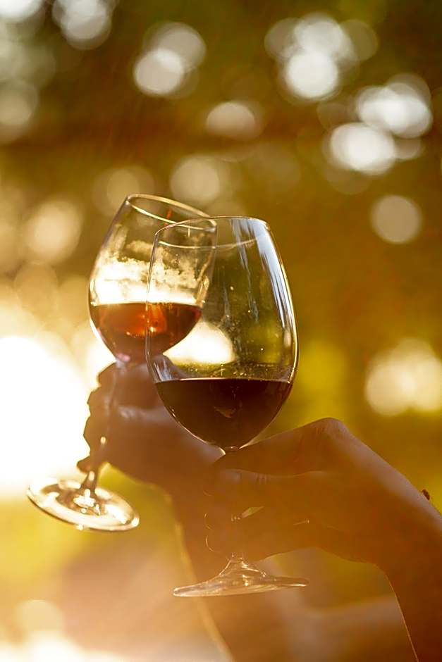 SUNOLUS VINEYARDHOUSe