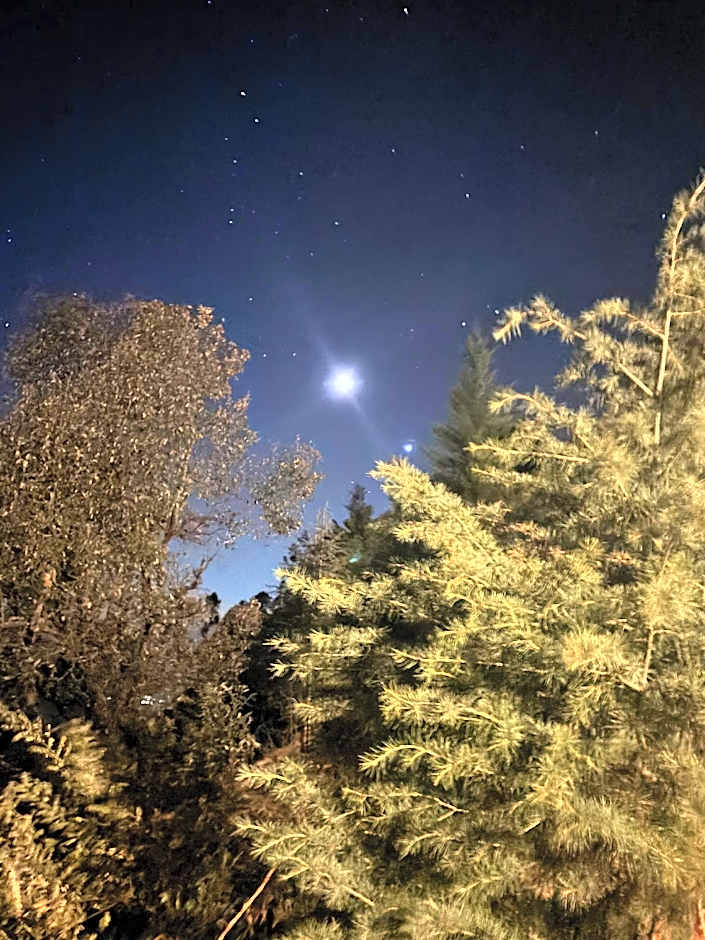 The Oak Trails Eco Lodge