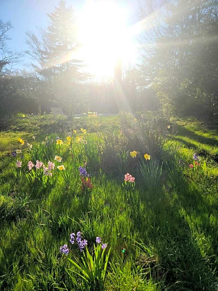 VILLA CASTEL Maison-Table d'Hôtes & Jardin-Refuge de Biodiversité