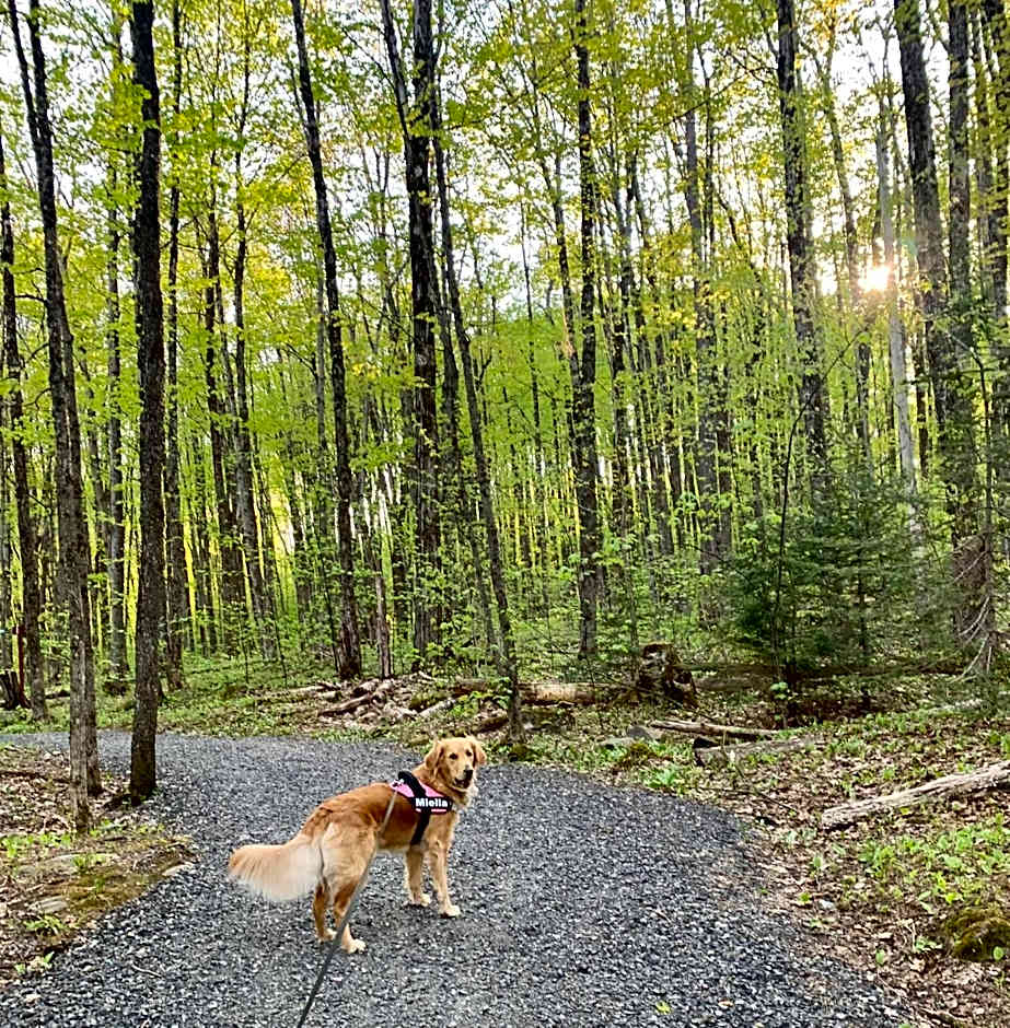 Au Gré Du Temps - Gîte B&B