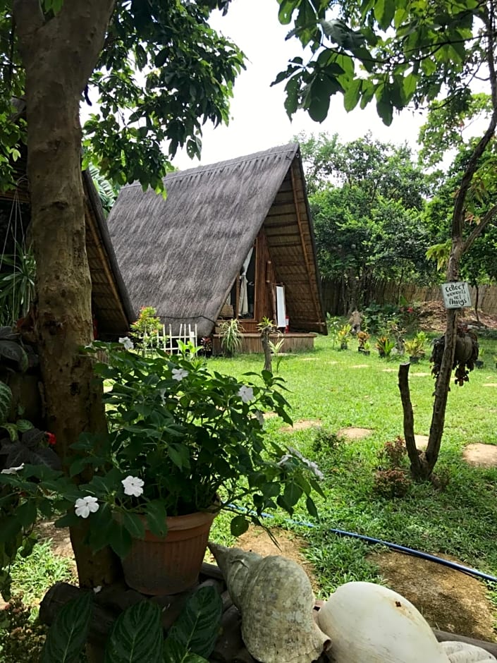 Balili Farm At Nacpan