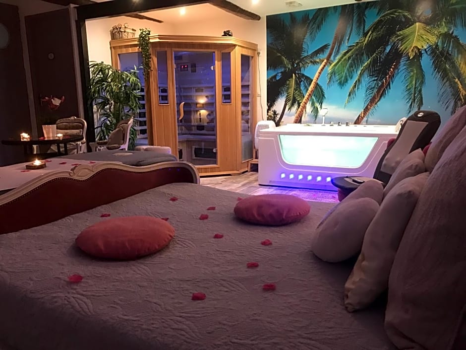 Le Mas Romantique avec Jacuzzi et Sauna privé