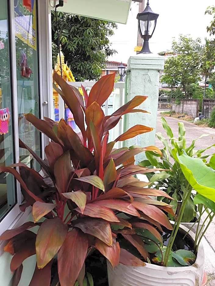 D Heart Homestay