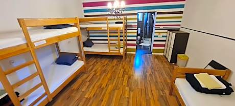 Single Bed in Female Dormitory Room