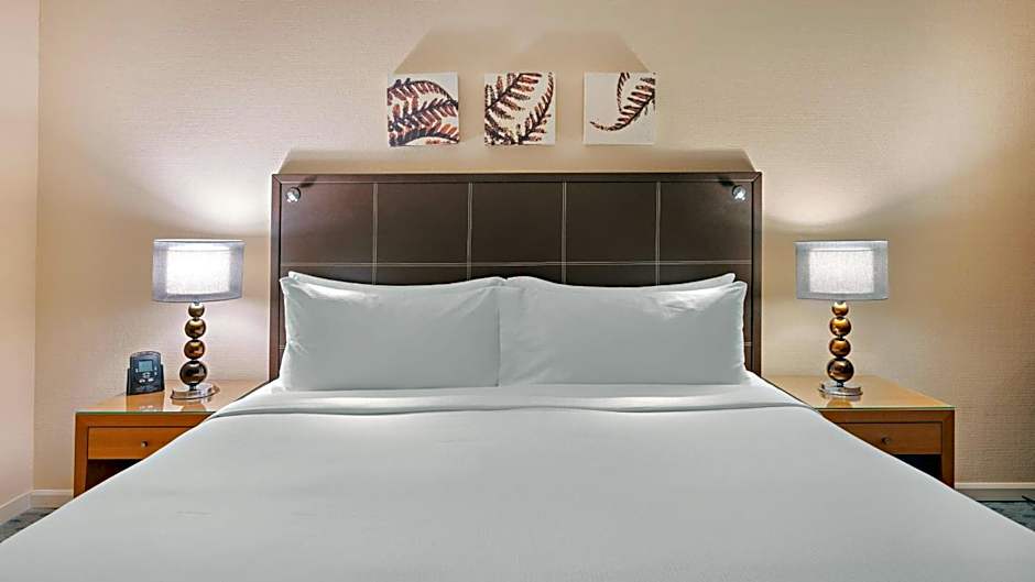 Hilton Dresden