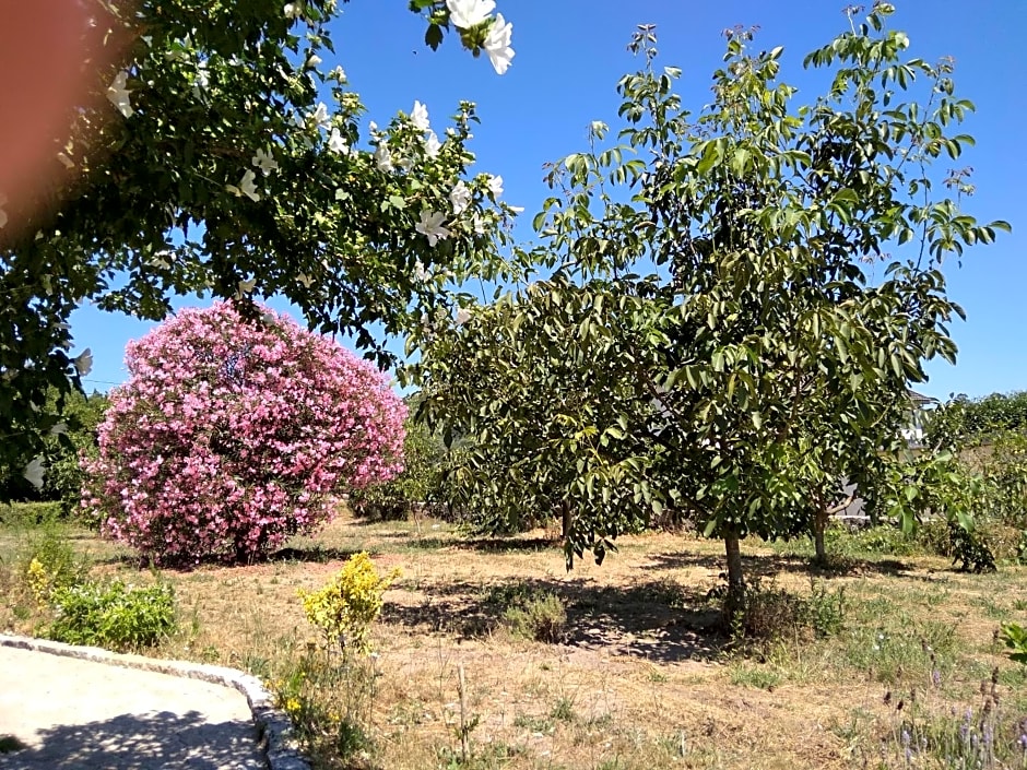 Casa do Forno, Viseu