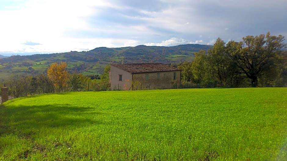 Poggio Dei Prugnoli