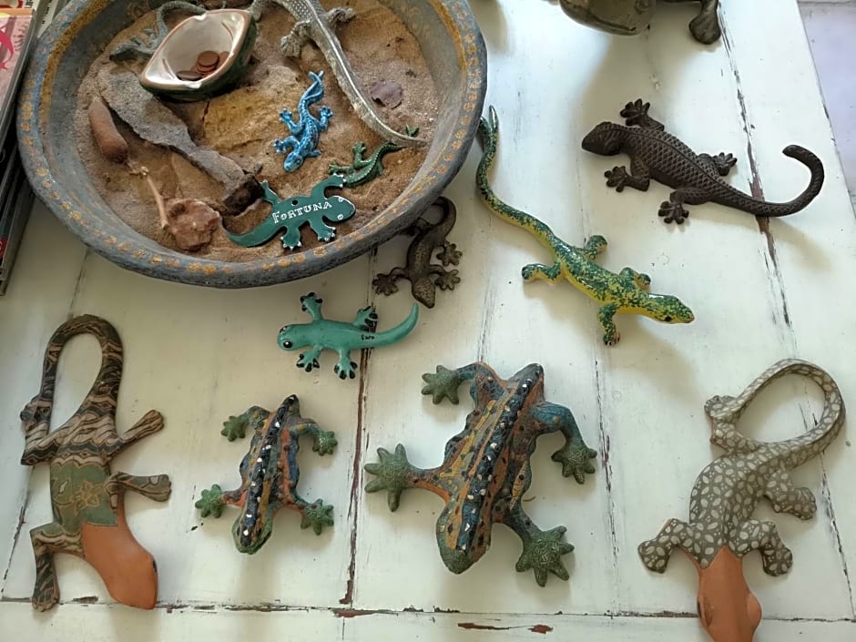 B&B La Salamandra Kitchengarden