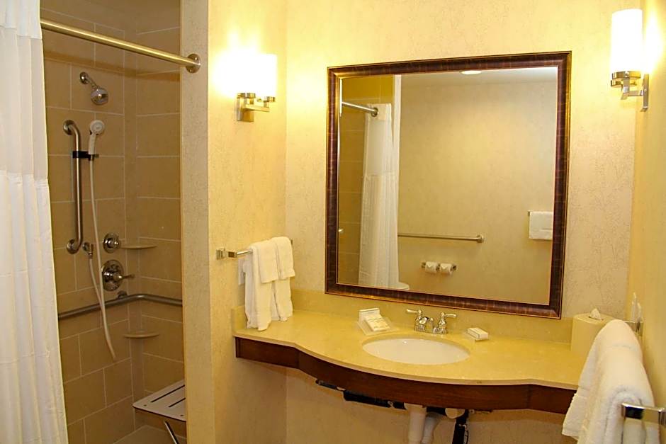Hilton Garden Inn San Antonio the Rim