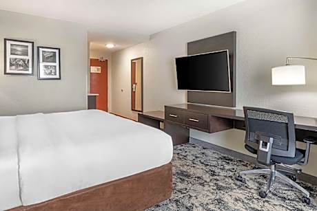 1 King Bed, Nonsmoking