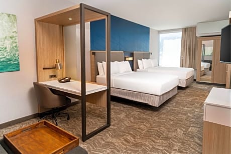 Queen Suite with Sofa Bed and Roll-in Shower - Mobility Accessible