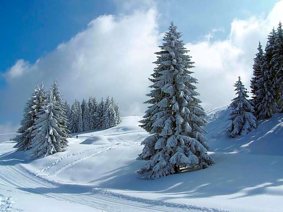 Hôtel Mont Thabor Serre Chevalier