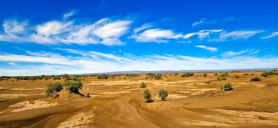 Bivouac beauté du désert