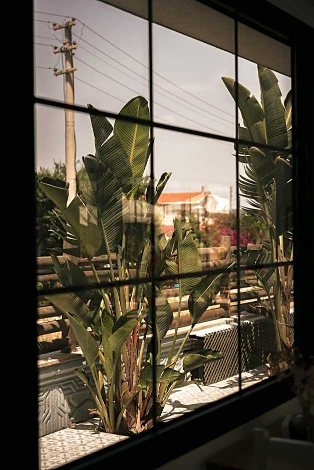 La Vida otel