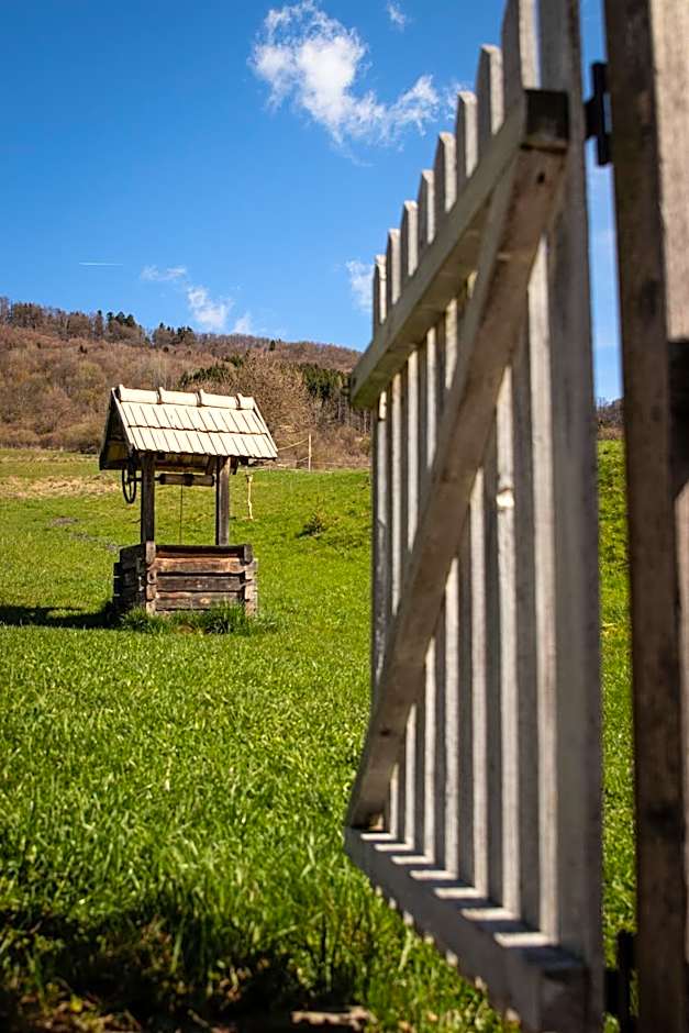 Cifrovaná drevenička