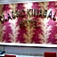 Classic Kinabalu Hotel