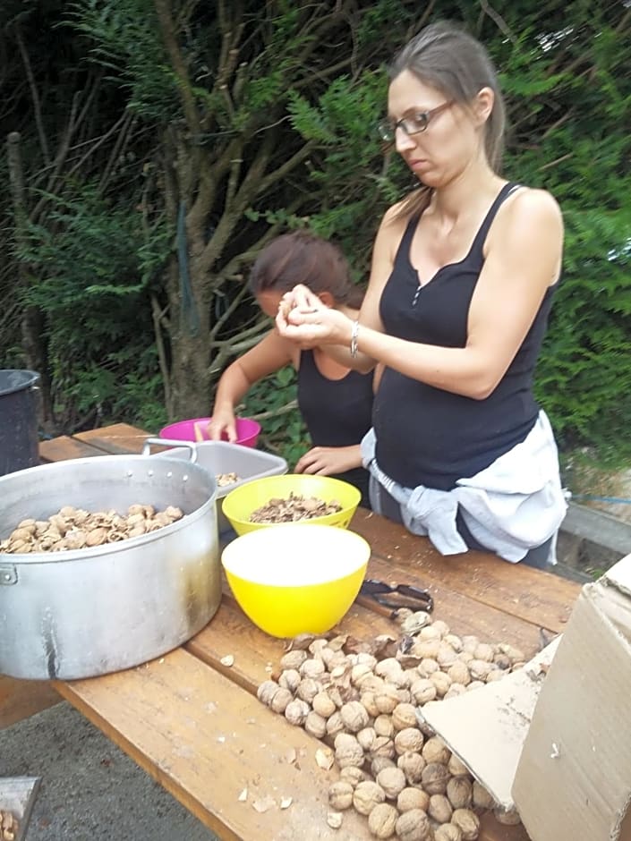 terroir de familles