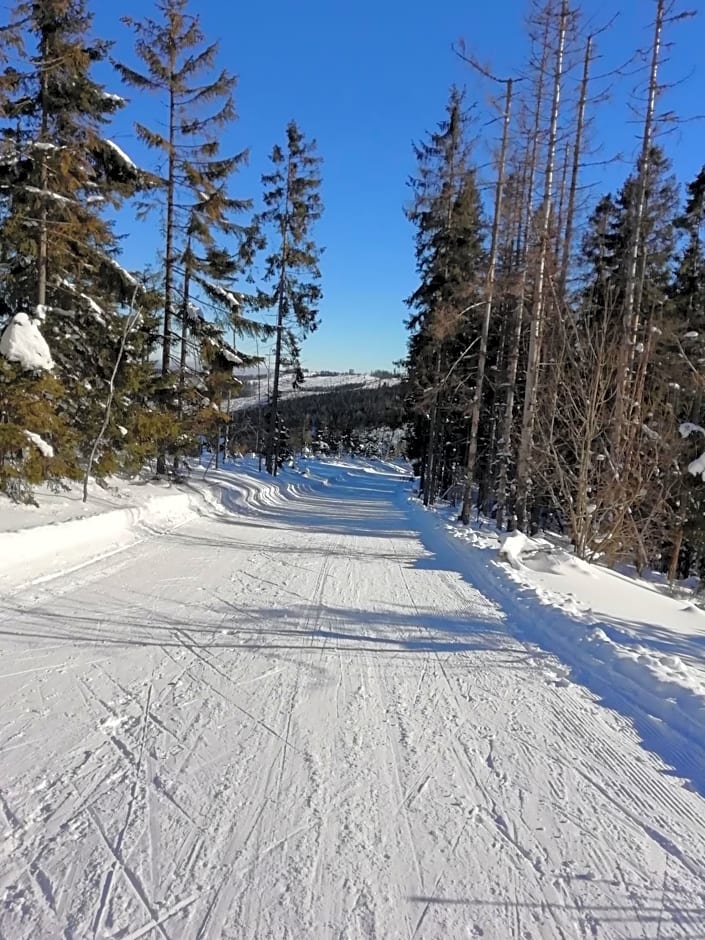 Chalúpka u Babičky