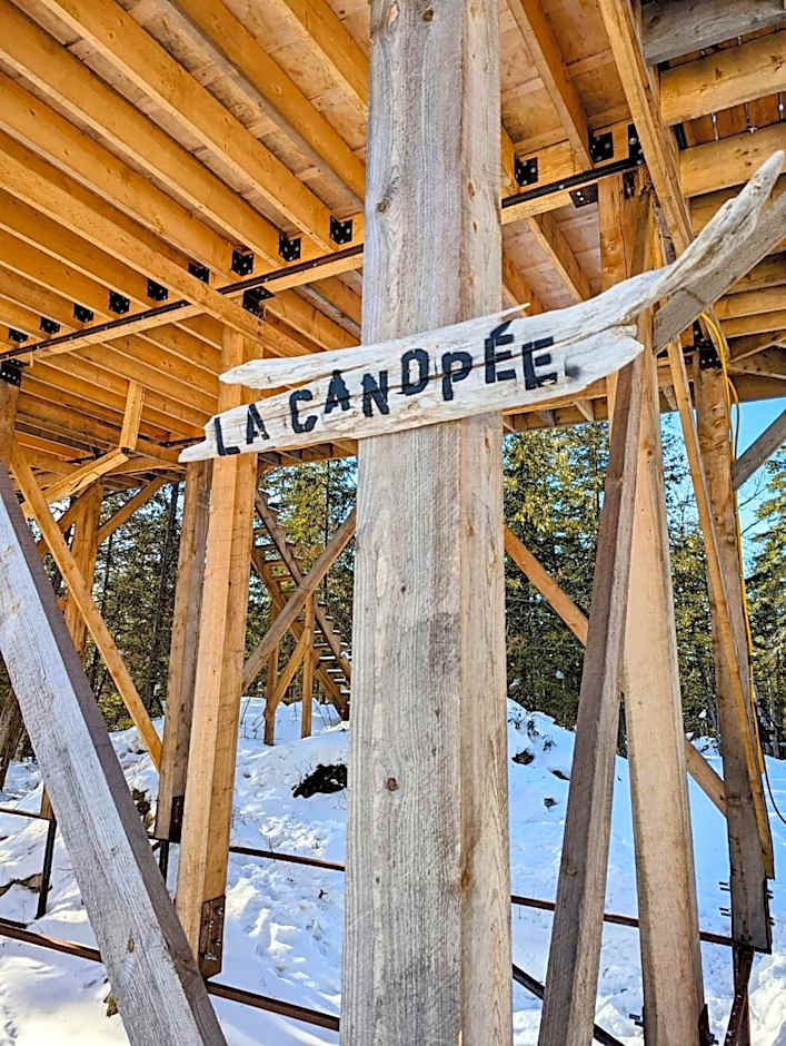 Entre Lemoine et l'arbre