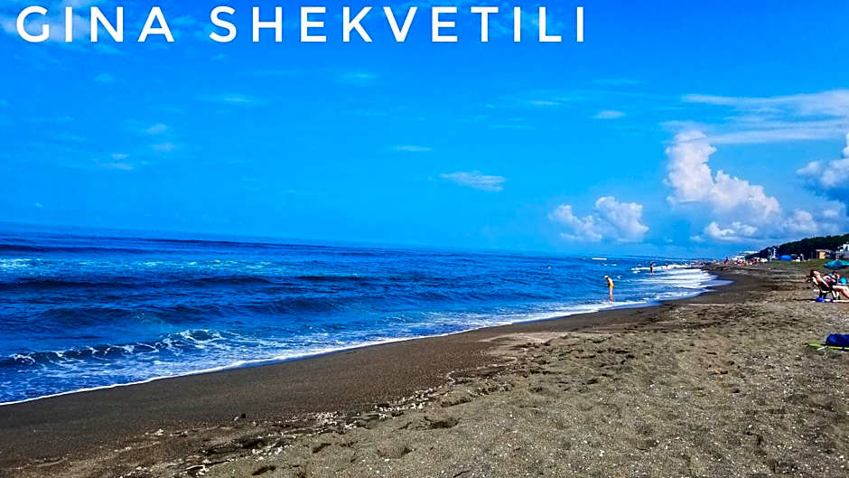 GiNa Shekvetili