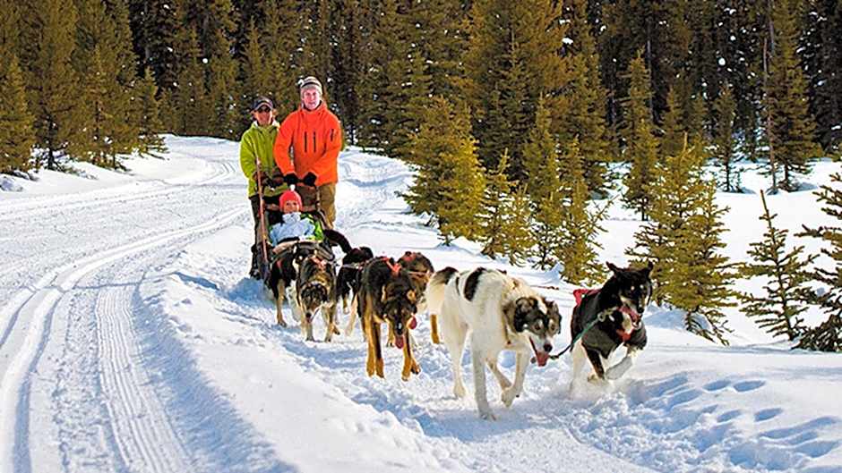 Staybridge Suites - Calgary Airport By IHG