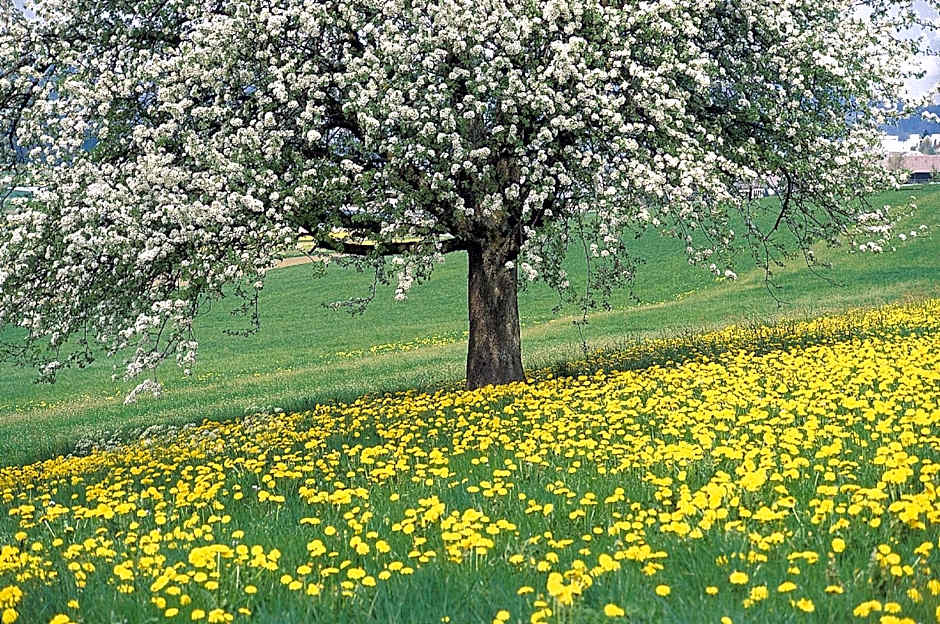 Romantik Parkhotel het Gulpdal