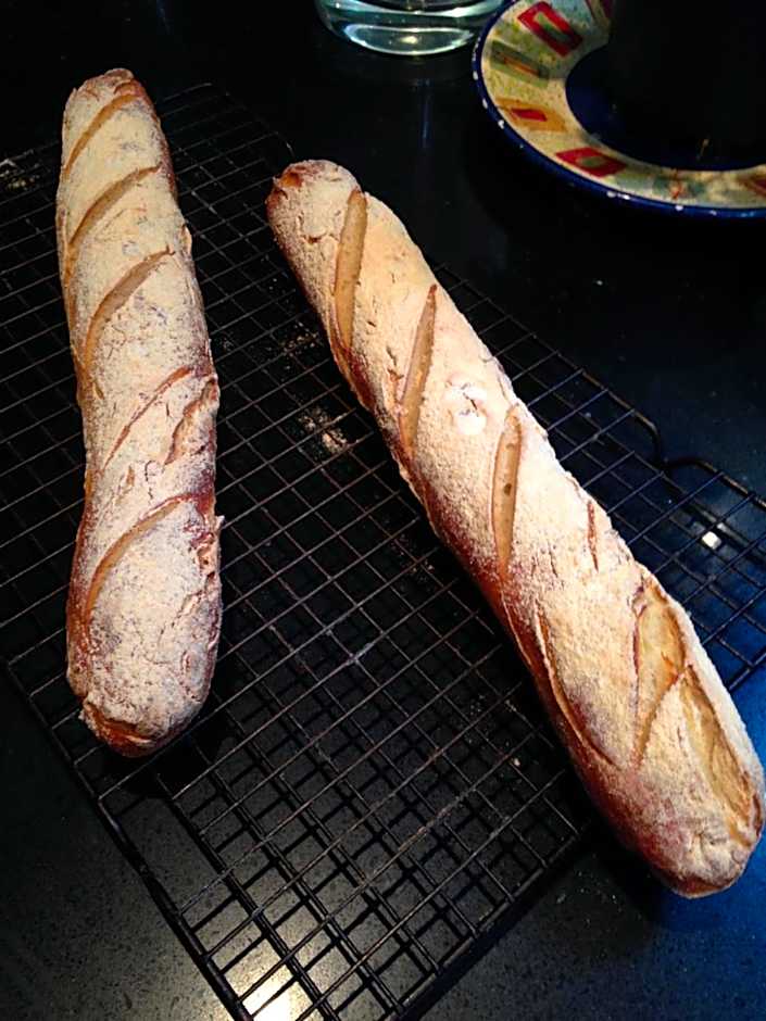 Salt Spring Carriage House B&B