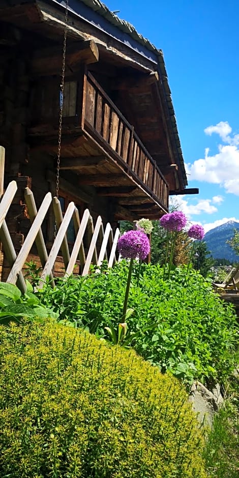 Hotel Chalet Svizzero