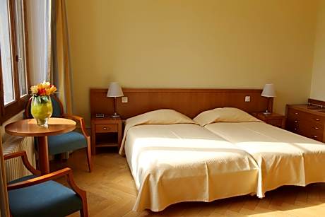 Twin Room with Private Bathroom and Park View