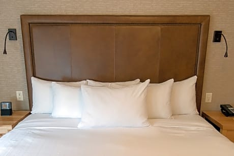 Superior One Bedroom Suite 1 King (MS1K)