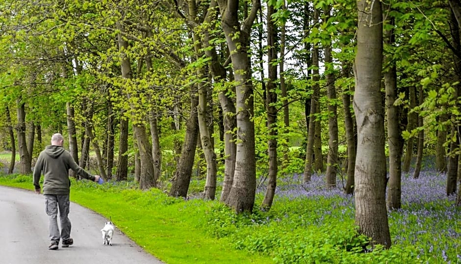 Hollicarrs - Sunflower Lodge