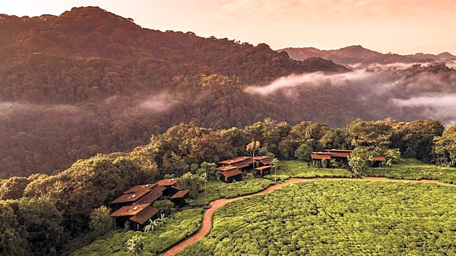 One and Only Nyungwe House