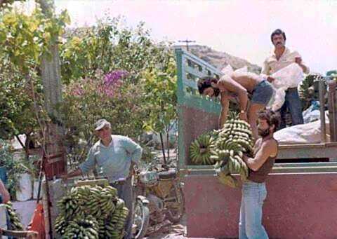 Ariadni Hotel Arvi by Estia