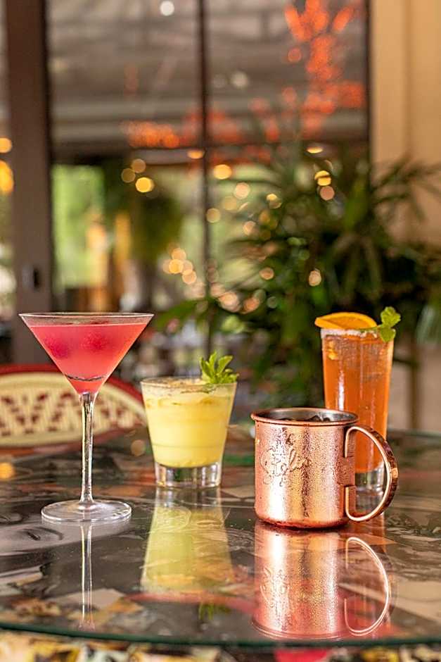 Hotel Zaza Houston