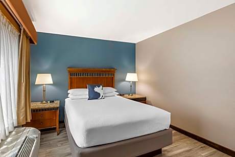 1 QUEEN BED,MOBILITY ACC,ROLLSHWR,PETFRD,NSMK,FULL BREAKFAST