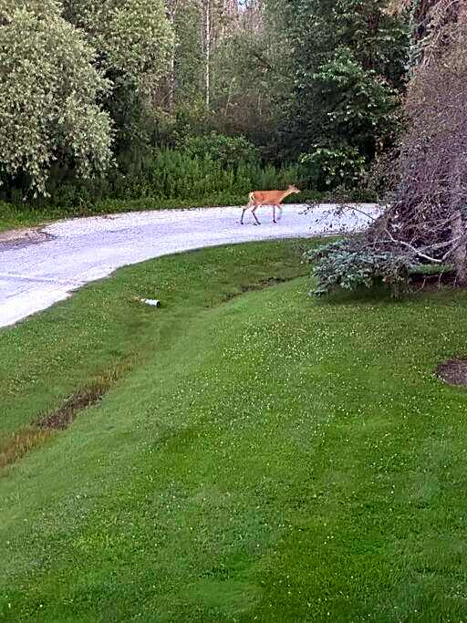 Tranquil ski golf spa