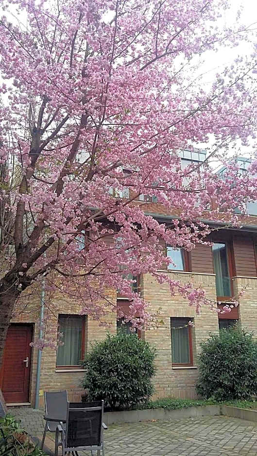 Bazilika alatt Panzió